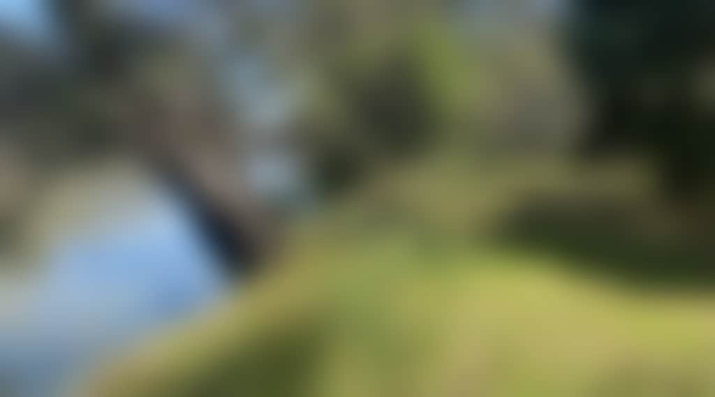 Banks-Of-The-Murray-Corowa-Riverview-Campsites-On-The-Murray_Ivndm22