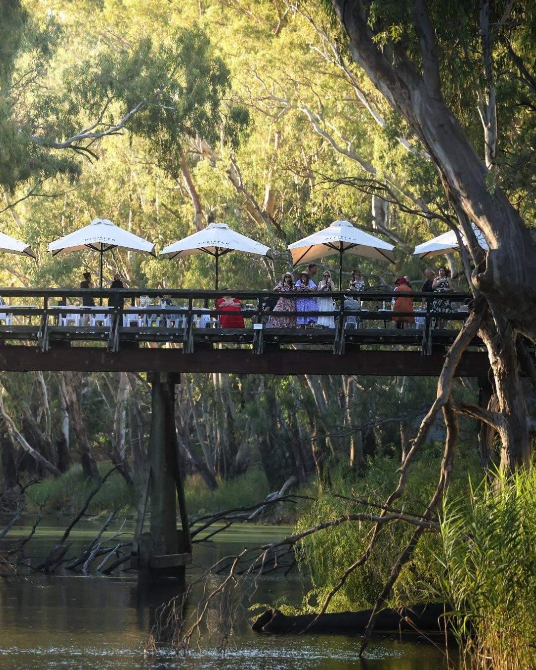 northofthemurray