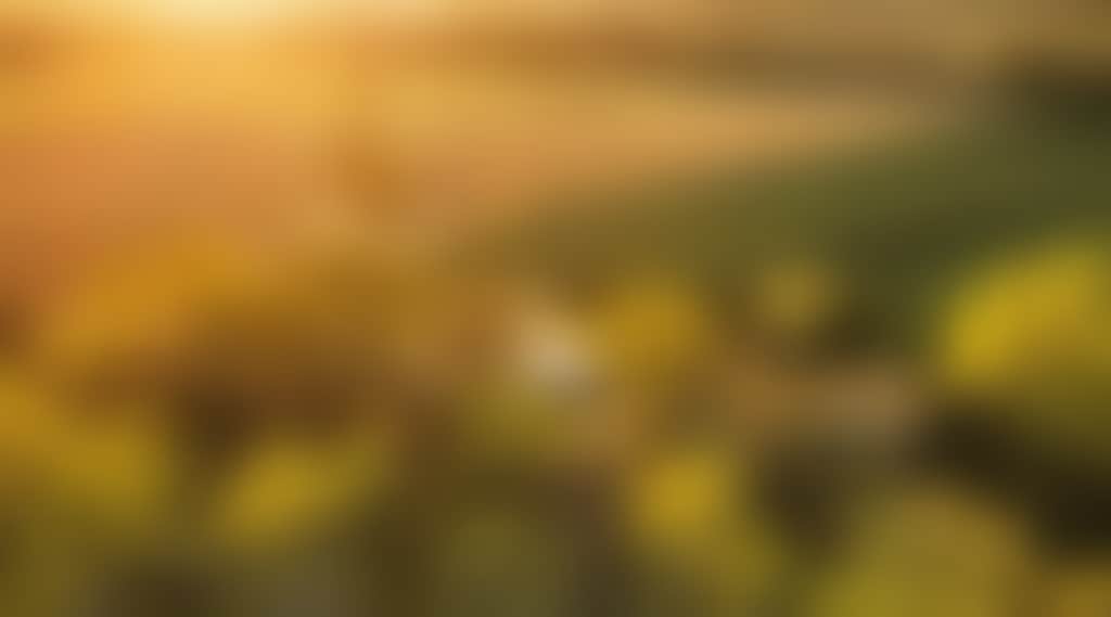 34F39A21Bab927C6508A79D2869Dac72