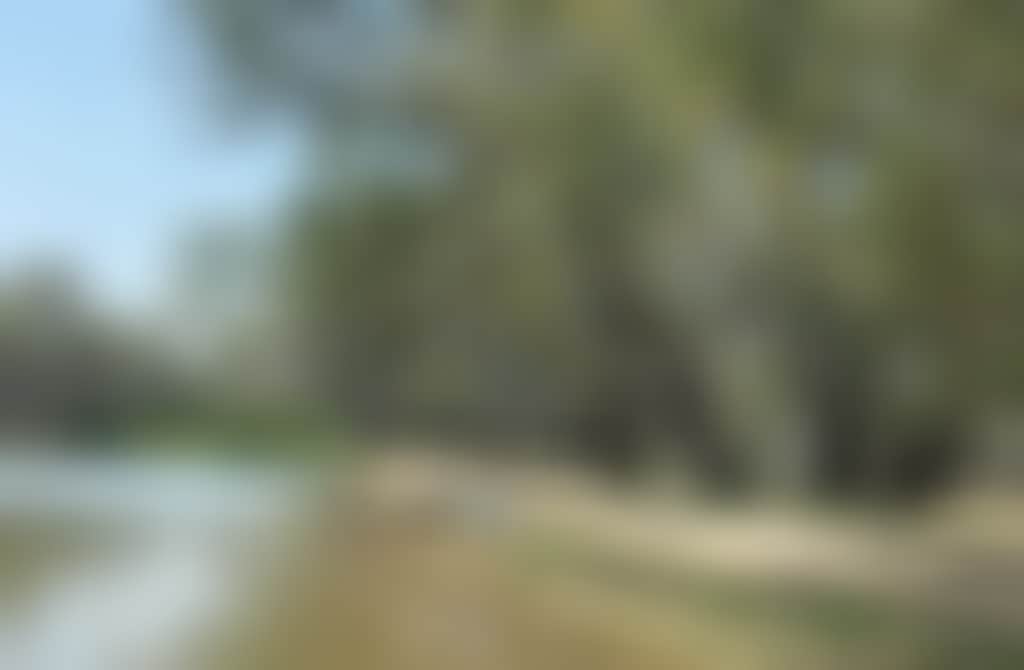 Murray River sandy beach