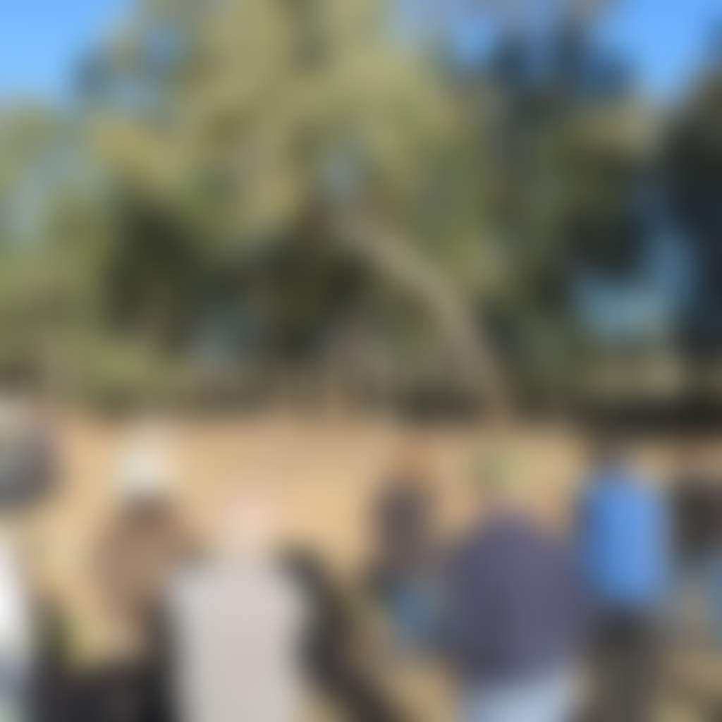 Dd1580Ec274730D88C98344Ea024B13A