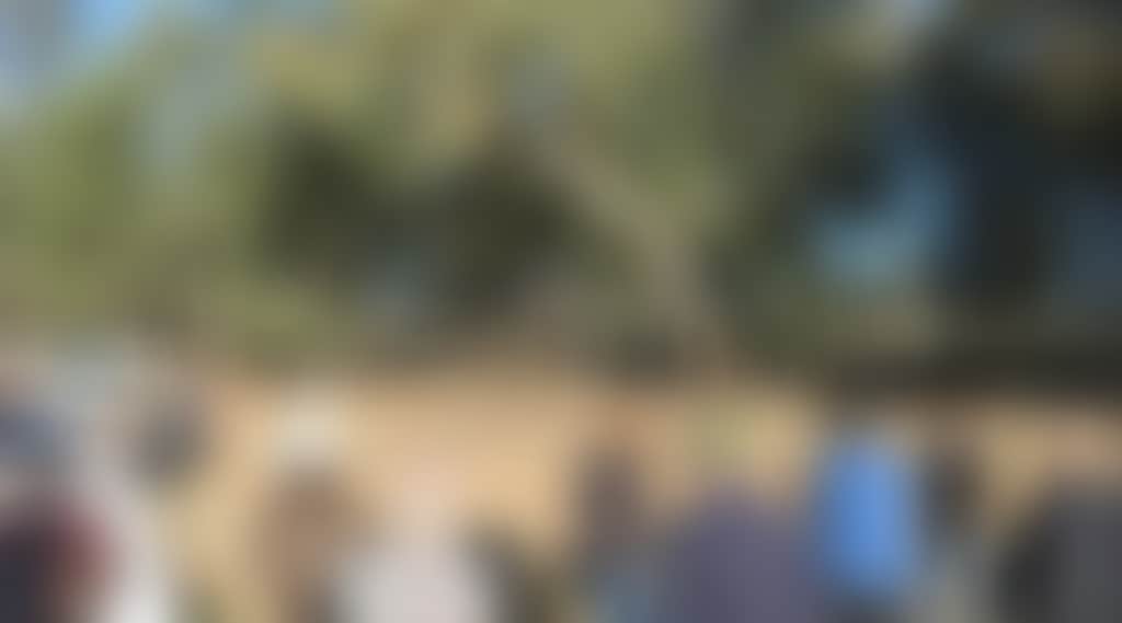 Dd1580Ec274730D88C98344Ea024B13A