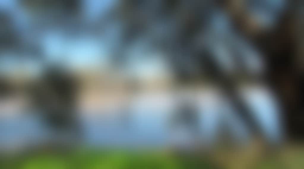 917089E8D3Cb38A8751D92Fd9Dace156