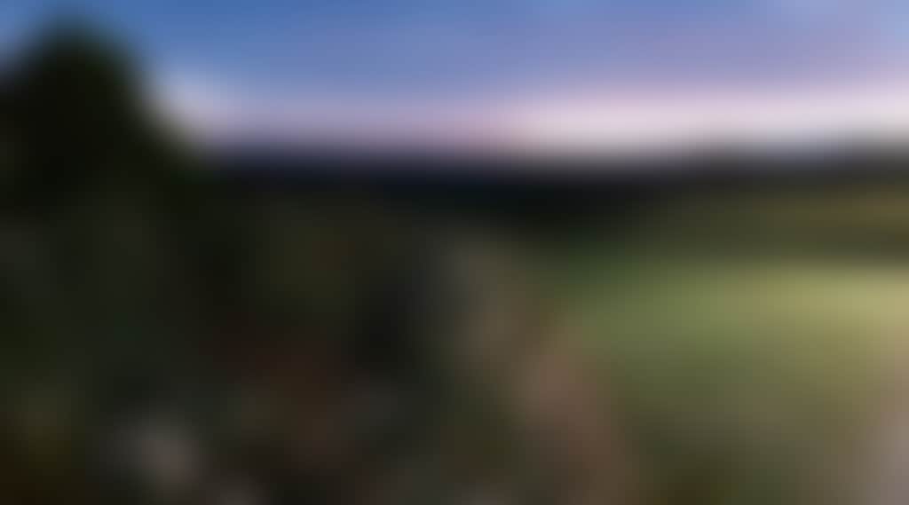 021F83Ea1316F21E2016B0D12Fd699E0