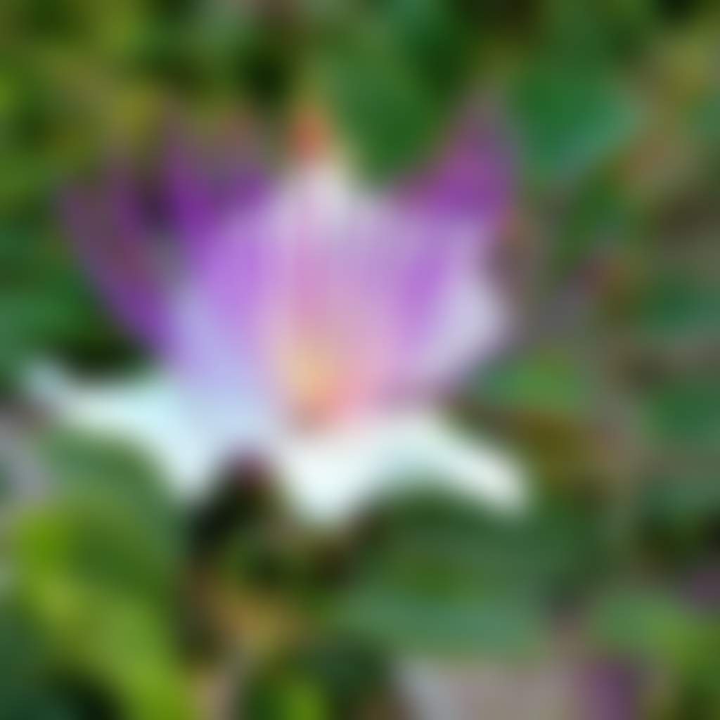 6Fca30Eb2E43E1F6E40A46Da0Ce0F995