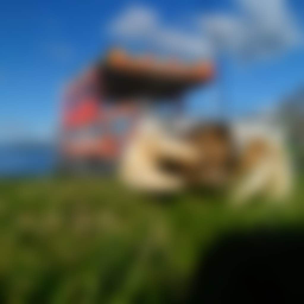 F04E63Dce25814B05Ea2Edbd71D686D4