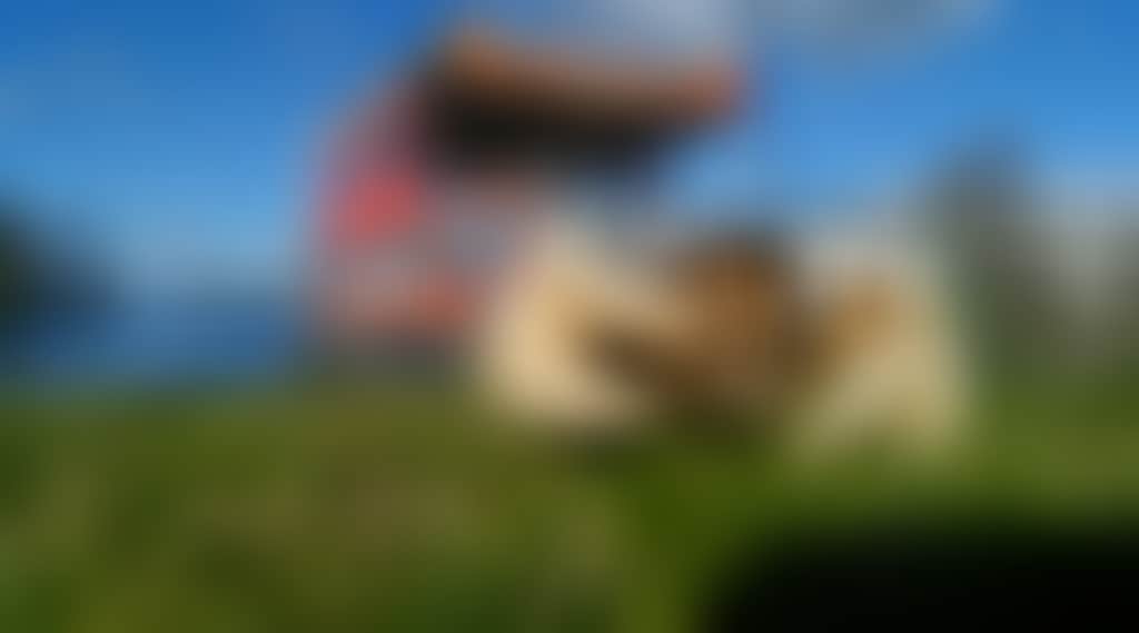 F04E63Dce25814B05Ea2Edbd71D686D4