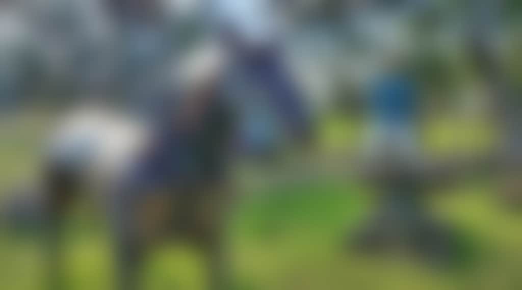 445C9Ea46C4D17Aabcd8Bdda16D548D3