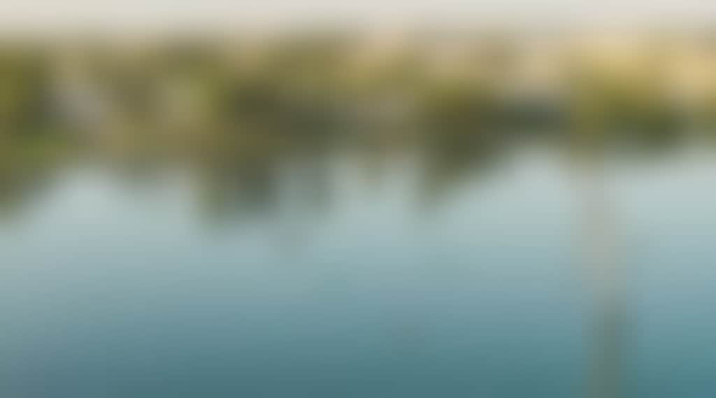 0F00Dd28Dde3062E7242604Cac6F4034