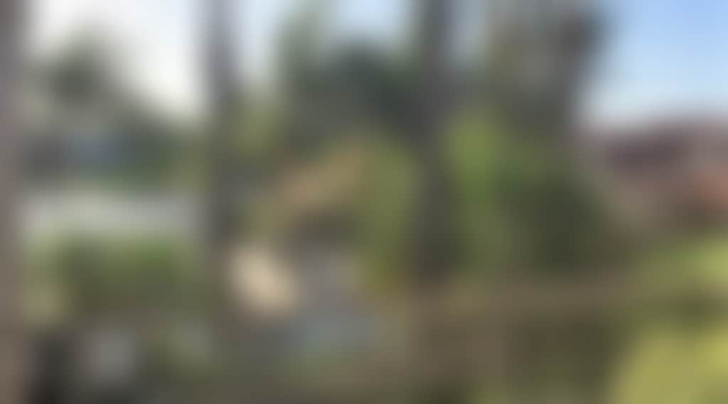 F2797D16B986F9680F69A4848156F536