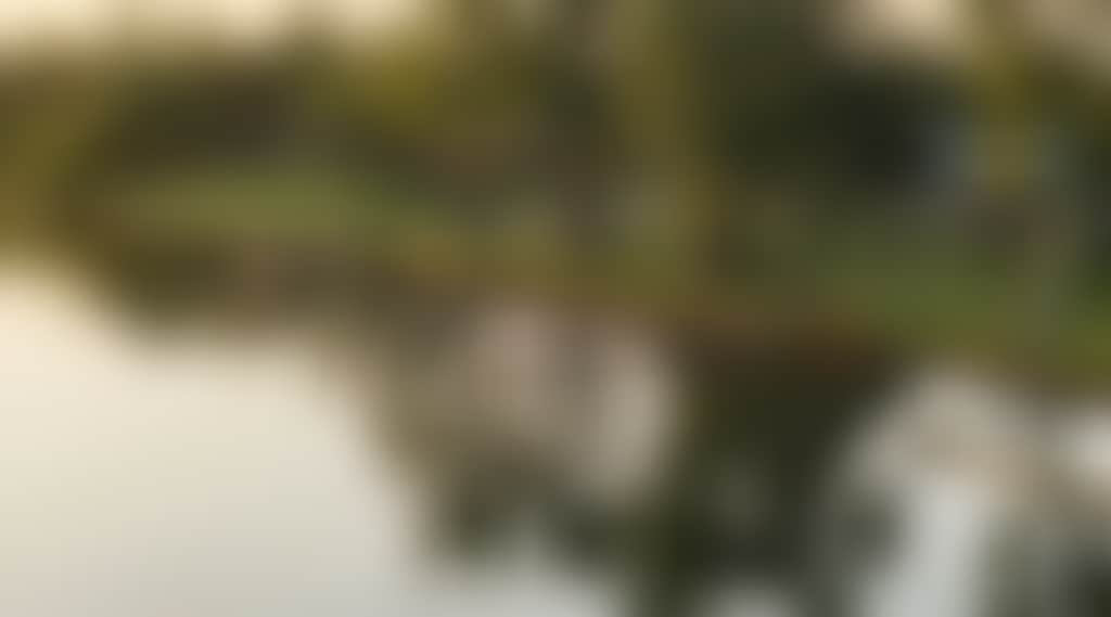 6Ff64C32B21865794B340Fb2Efff3441