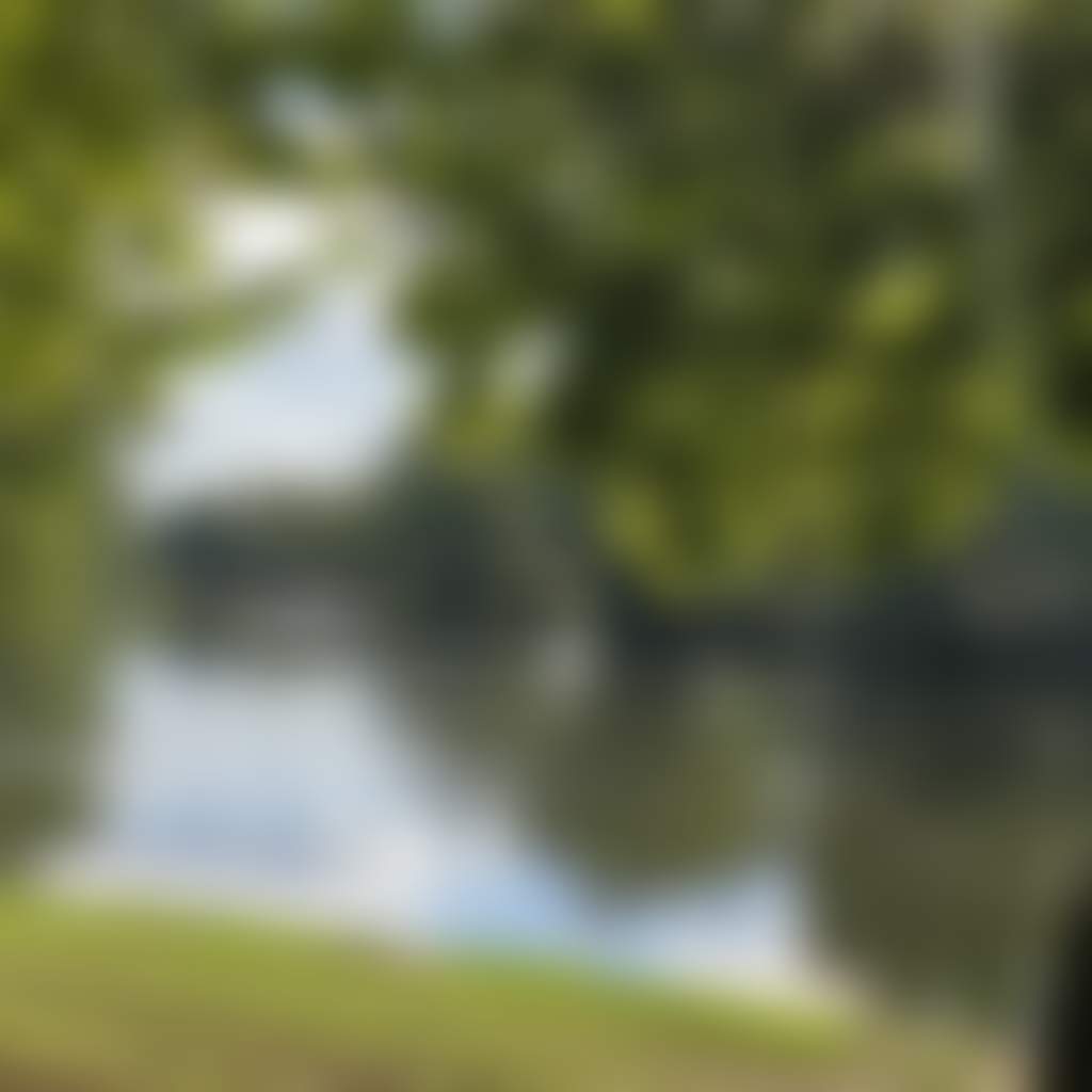 Howlong memorial park hero