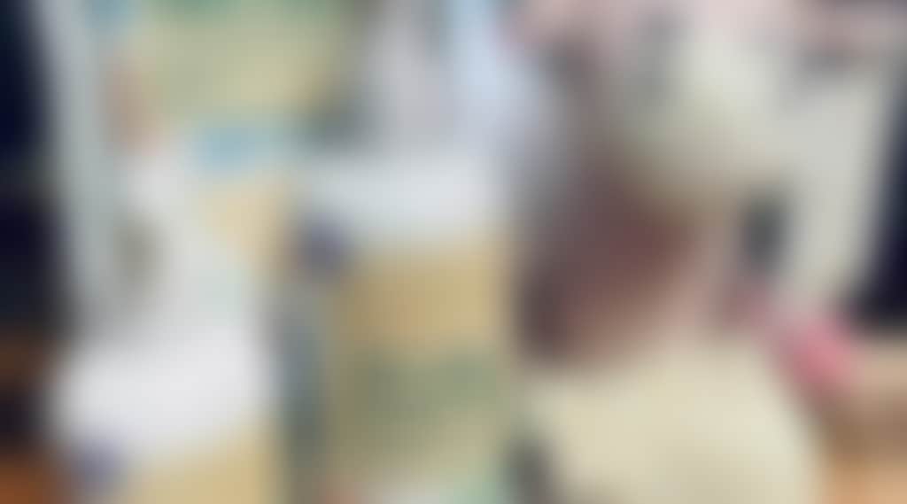 0748D3Cd491Ae97948Ef3Ca1A930D7Bf